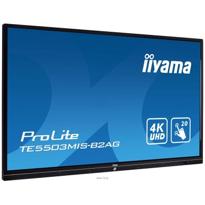 Iiyama ProLite TE5503MIS-B2AG