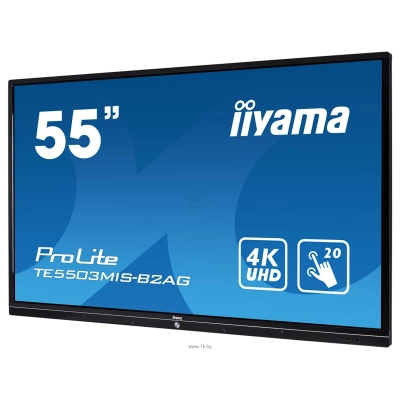 Iiyama ProLite TE5503MIS-B2AG