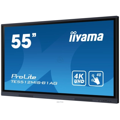 Iiyama ProLite TE5512MIS-B1AG