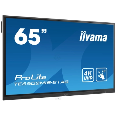 Iiyama ProLite TE6502MIS-B1AG