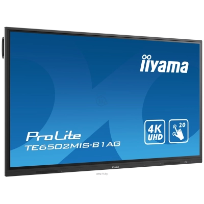 Iiyama ProLite TE6502MIS-B1AG