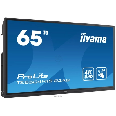 Iiyama ProLite TE6504MIS-B2AG