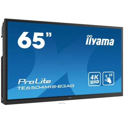 Iiyama ProLite TE6504MIS-B3AG