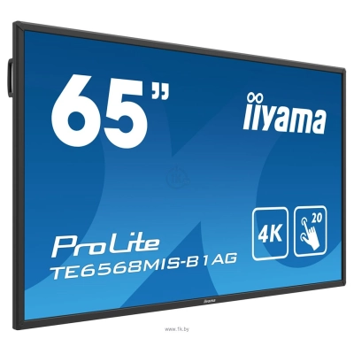 Iiyama ProLite TE6568MIS-B1AG