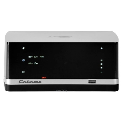 Cabasse Stream AMP 100