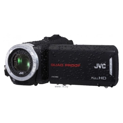 JVC Everio GZ-RX110