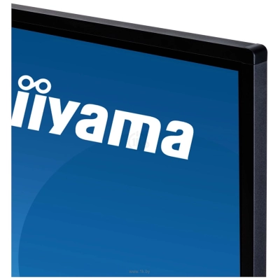 Iiyama TE5503MIS-B1AG