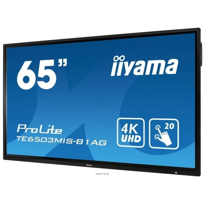 Iiyama TE6503MIS-B1AG