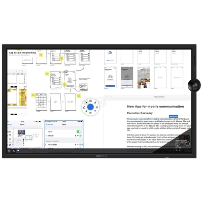 NEC MultiSync C981Q SST