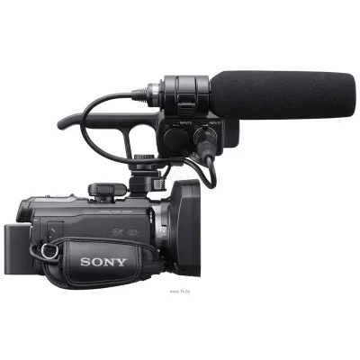 Sony HXR-NX30